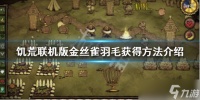 《饥荒联机版》金丝雀怎么刷 金丝雀羽毛获得方法
