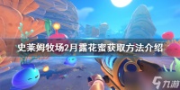 《史莱姆牧场2》月露花蜜如何获得 月露花蜜获取方法介绍