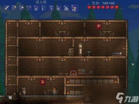 泰拉瑞亚npc怎么上楼 泰拉瑞亚npc怎么生成