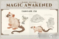 《哈利波特魔法觉醒》老鼠神奇动物获得方法