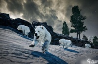 《绝地求生》维寒迪新生物熊特性介绍