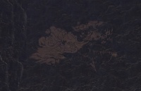 《创造与魔法》嘉年华即将开启！独家爆料！