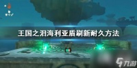 《塞尔达传说王国之泪》海利亚盾刷新耐久方法 海利亚盾怎么刷新耐久