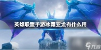 英雄联盟手游冰霜亚龙有什么用