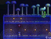 泰拉瑞亚地表蘑菇地怎么做 怎么制作泰拉瑞亚蘑菇草原