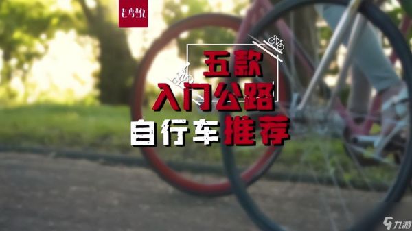 公路车怎么选（新手选公路车攻略）「科普」