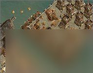 纪元1404复制资源攻略