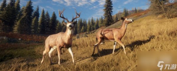 猎人荒野的呼唤雷文图里的绿头鸭位置一览