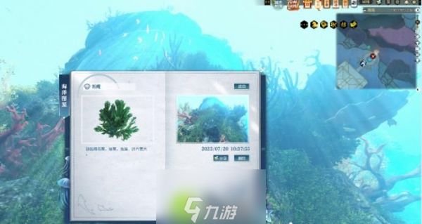 逆水寒石莼在哪-<a id='link_pop' class='keyword-tag' href='https://www.9game.cn/nishuihan1/'>逆水寒手游</a>石莼位置分享介绍