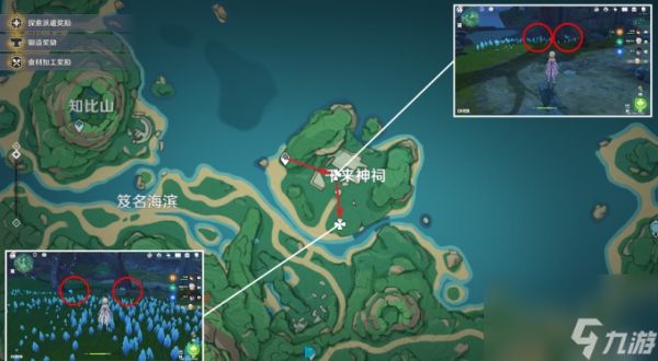 《原神》幽灯蕈在哪采摘 幽灯蕈采集路线图一览