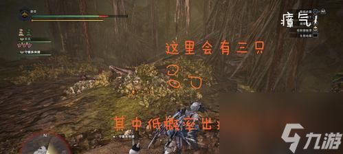 怪物猎人崛起稀有生物大全（如何抓取稀有生物和寻找收集点）