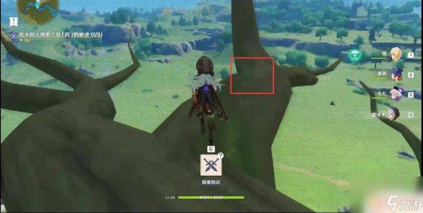 元神树上风的痕迹 原神大树风的痕迹在哪里