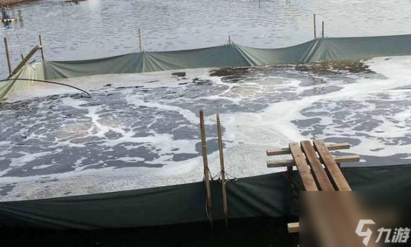 《缺氧》游戏中热泉环境下的藻类养殖箱使用方法一览(掌握游戏中热泉环境下的藻类养殖箱使用技巧)