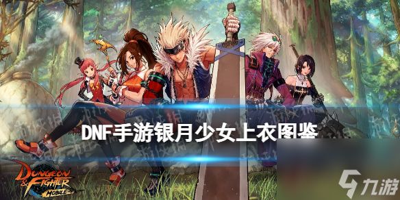 《<a id='link_pop' class='keyword-tag' href='https://www.9game.cn/dxcyysqy/'>地下城与勇士起源</a>》银月少女上衣图鉴