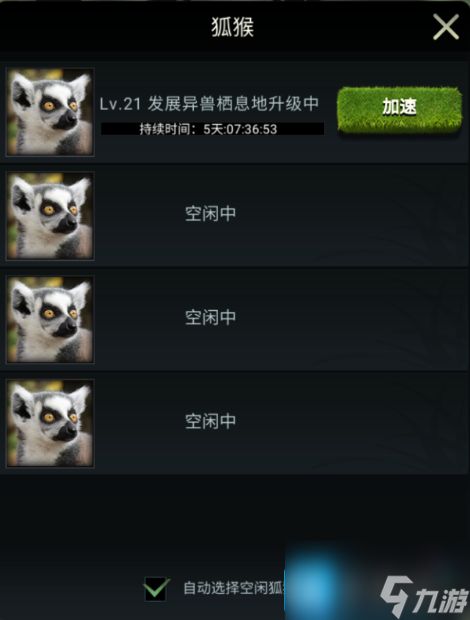 【丛林攻略】兽王领地小管家：狐猴详解