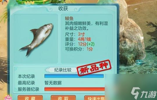 《神武》游戏成长全流程(探索仙侠世界)