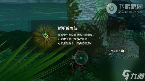 塞尔达传说王国之泪独角仙位置攻略