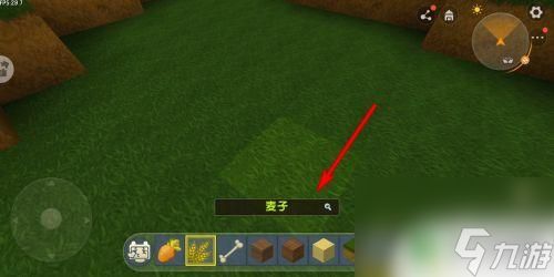 迷你世界怎么喂动物吃东西 迷你世界动物怎么吃食物
