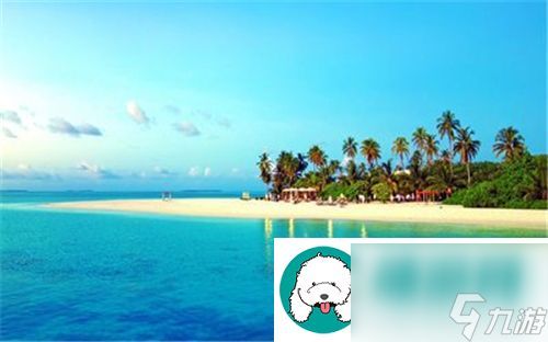 不分南北兄弟1V2:游戏玩法详解与特色分析