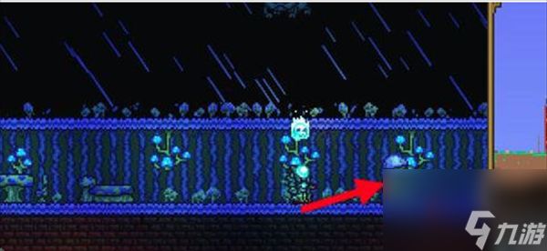 泰拉瑞亚蘑菇人入住条件介绍