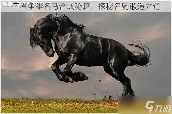 王者争雄名马合成秘籍：探秘名驹锻造之道