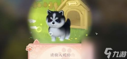 逆水寒育宠玩法介绍