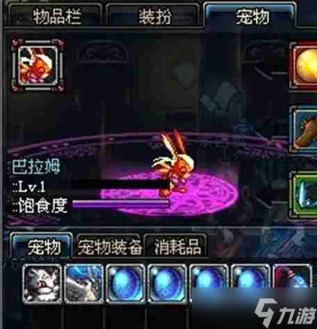 《地下城与勇士：起源》宠物巴拉姆介绍