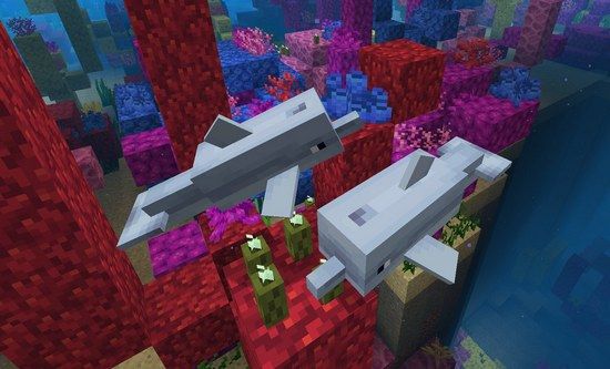 我的世界水域更新物种