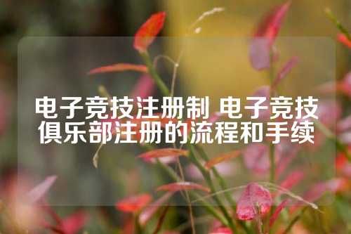 电子竞技注册制 电子竞技俱乐部注册的流程和手续