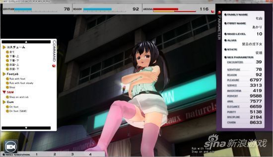 日本成人游戏《Custom Maid 3D》