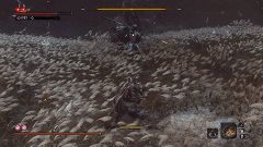 只狼心中的一心技能解析及打法攻略