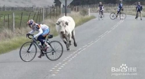 什么样的人适合做游戏主播