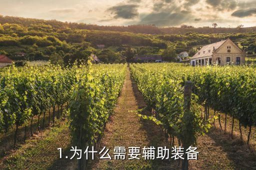 1.为什么需要辅助装备