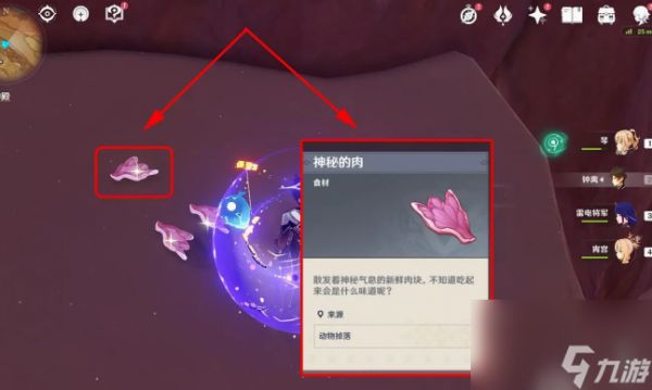 原神神秘的肉能做什么 原神神秘的肉作用介绍