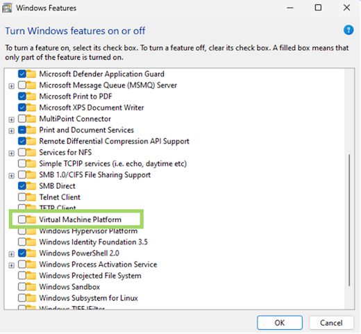 显示虚拟机平台文件夹的 Windows 功能窗口
