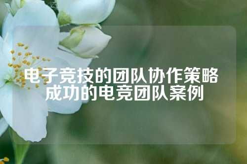 电子竞技的团队协作策略 成功的电竞团队案例