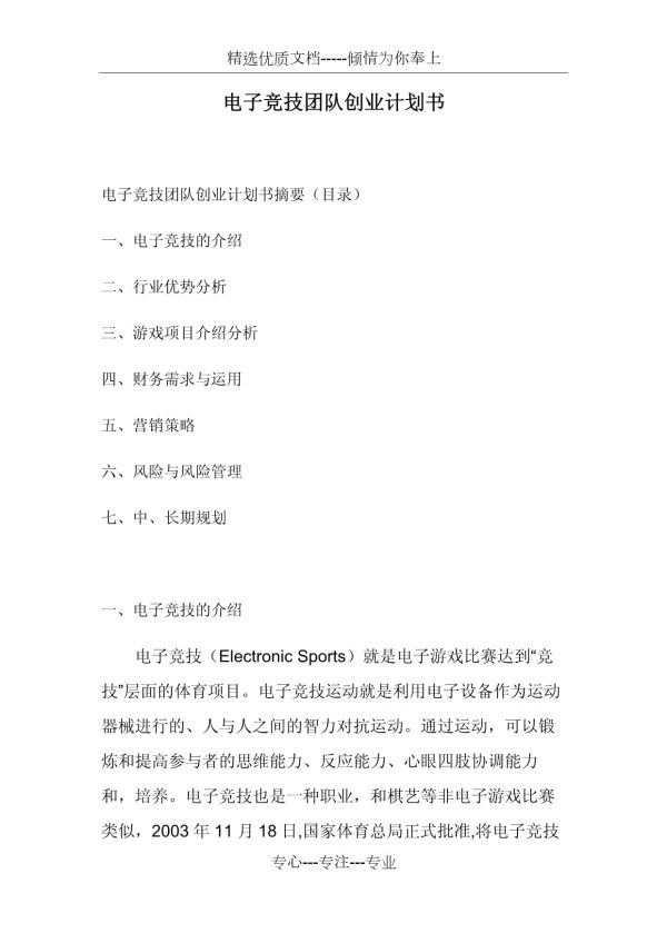 电子竞技团队创业计划书_第1页