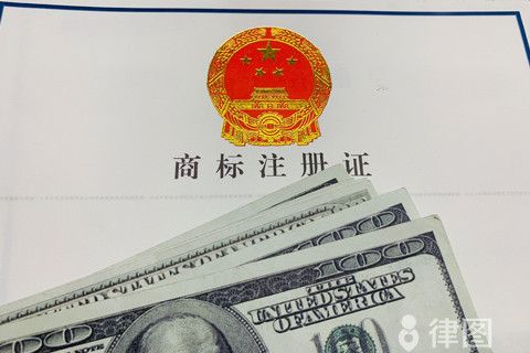 游戏软件著作权申请模板
