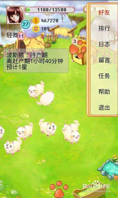 疯狂牧场的游戏攻略