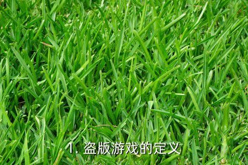 1. 盗版游戏的定义