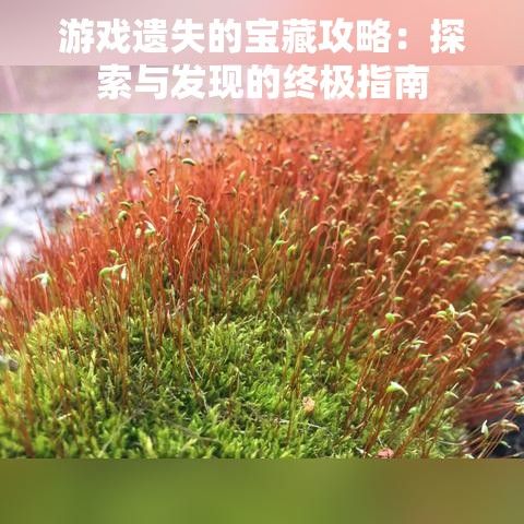 游戏遗失的宝藏攻略：探索与发现的终极指南