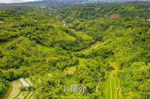 1.简介