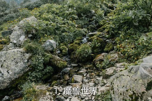 1. 魔兽世界