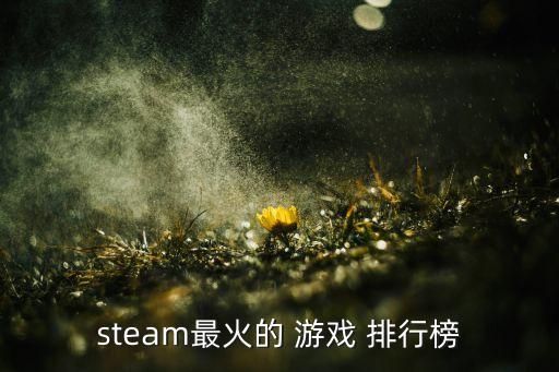 steam最火的 游戏 排行榜