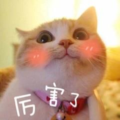 最全面的武器出装搭配,学会你就是王者