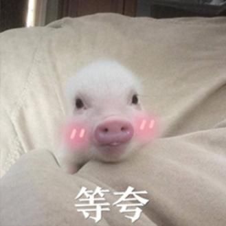 最全面的武器出装搭配,学会你就是王者