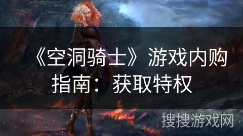 《空洞骑士》游戏内购指南：获取特权
