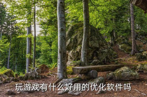 玩游戏有什么好用的优化软件吗