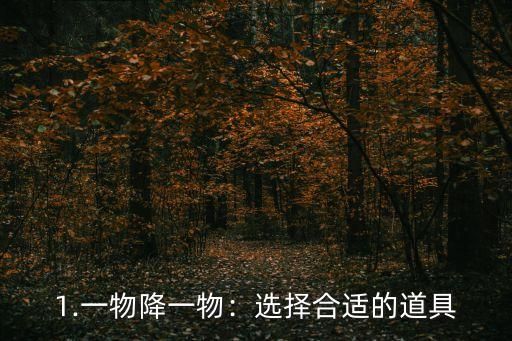 1.一物降一物：选择合适的道具
