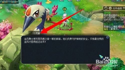 金羽曳副本攻略